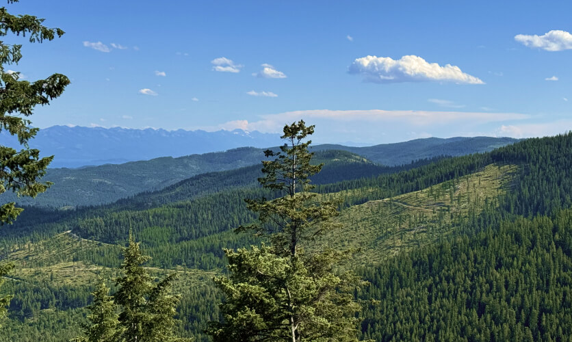 Invest in Montana land